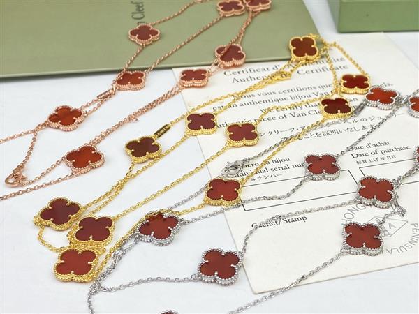 2024210162118629 105